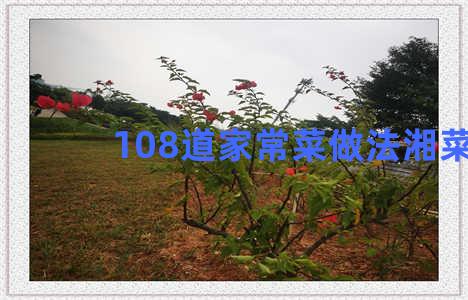 108道家常菜做法湘菜