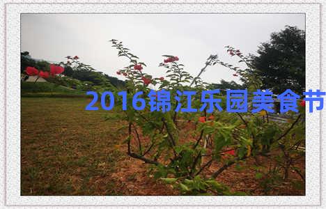 2016锦江乐园美食节