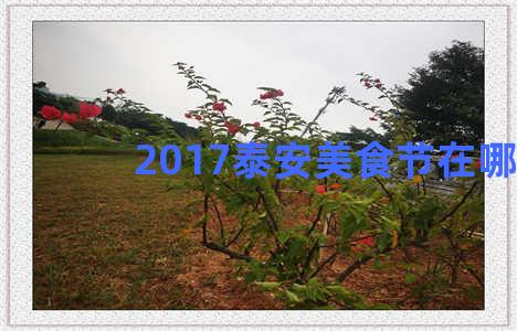 2017泰安美食节在哪