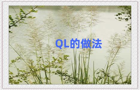 QL的做法