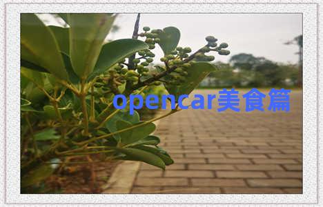 opencar美食篇