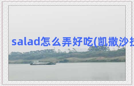 salad怎么弄好吃(凯撒沙拉怎么做)