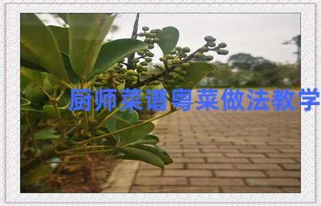 厨师菜谱粤菜做法教学