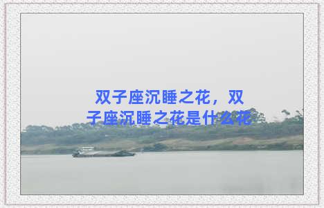 双子座沉睡之花，双子座沉睡之花是什么花