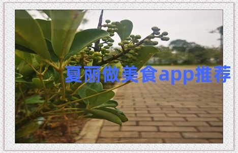 夏丽做美食app推荐