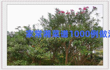 家常湘菜谱1000例做法