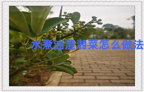 水煮油渣湘菜怎么做法