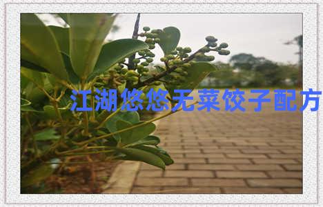 江湖悠悠无菜饺子配方