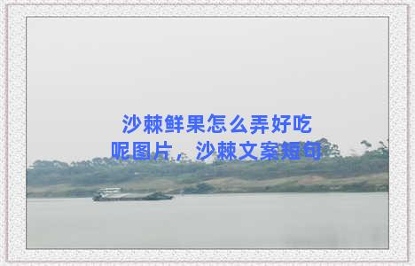 沙棘鲜果怎么弄好吃呢图片，沙棘文案短句