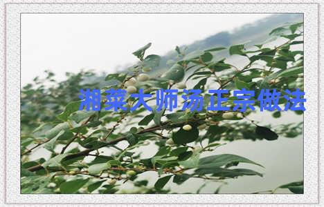 湘菜大师汤正宗做法