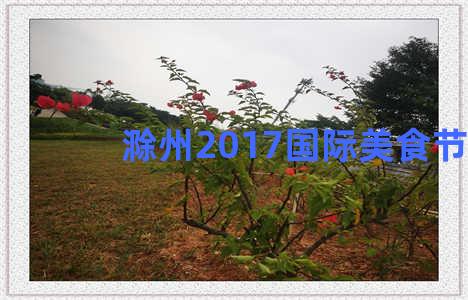 滁州2017国际美食节