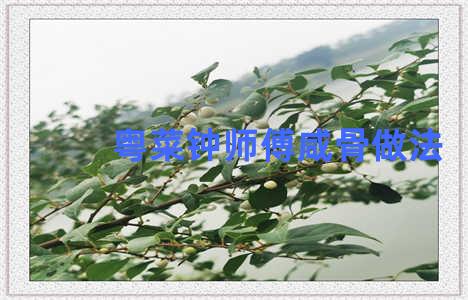 粤菜钟师傅咸骨做法